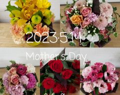 2023年5月14日(日)は『母の日』です🌷